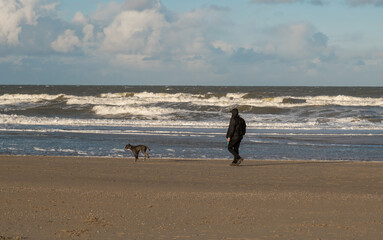 pet dog man male doggy beach sea ocean walk wave morning sun Scheveningen north The Hague Den Haag