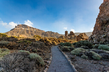 Teide National Park, Tenerife, Canarias, Spain