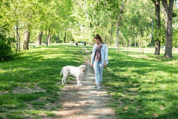 Young student woman professional dog or pet walker walking the dog Labrador Retriever outdoor while the owner is on the work. Cute female enjoying with her puppy friend in the park.