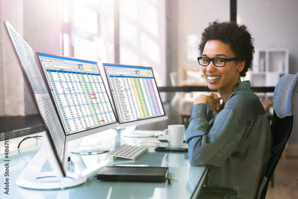 Poster professional accountant using computer screen