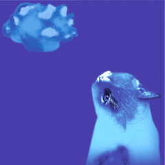 Katze mit Blick in die Wolken, Illustration