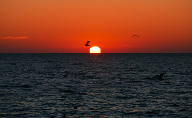 Amazing sunrise landscape at the Black Sea shore in Constanta, Romania, with beautiful orange sky color