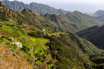 Parque Rural de Anaga, Tenerife, Spain