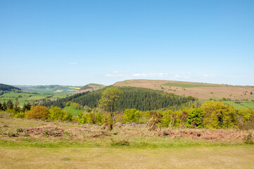 Obraz premium Hergest ridge in the summertime.