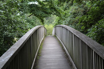 wooden bridge in the forest