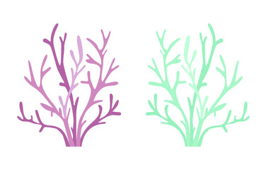 Seaweed natural sea bush in two colors illustration