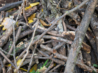 Pile of Sticks and dry twigs,Stack of tree branches for fire
