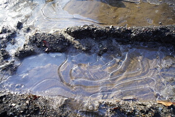 Pfütze auf einem Weg, Radspuren im Wald mit Wasser und Eis