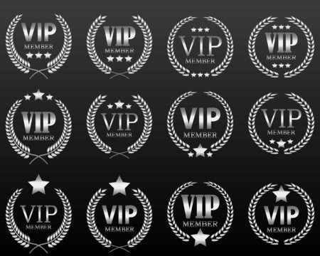 various luxury silver VIP label by vector design