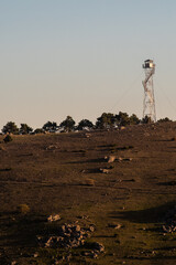 View of a fire watch tower to prevent forest fires
