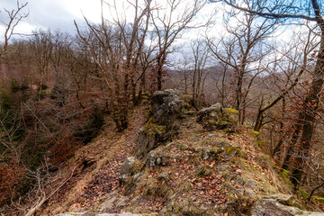 Weg durch felsigen Wald