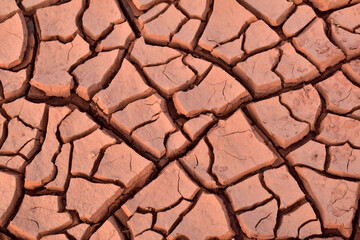 dry cracked earth