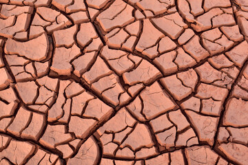 dry cracked earth