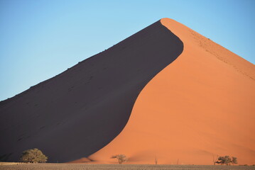 Sahara, dune, desert