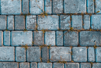 brick wall or paving slabs with grass background