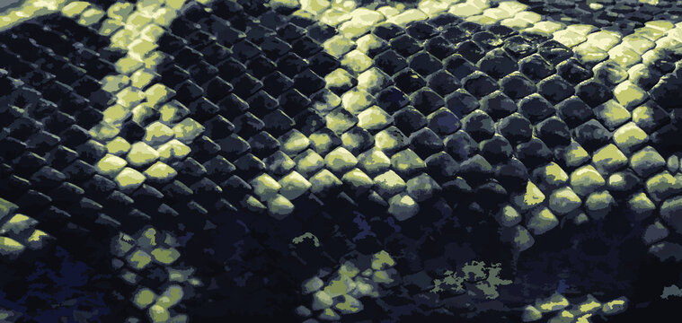 Python skin texture. Close-up. Geometric natural background. Vector illustration.