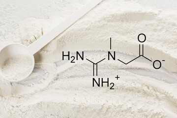 Scoop of creatine monohydrate supplement and chemical formula