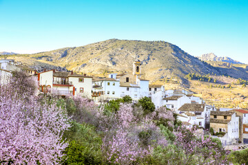 Fototapeta premium Confrides village surrounded by vegetation and the Castle