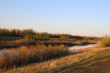 Spring On The Land, Pylypow Wetlands, Edmonton, Alberta