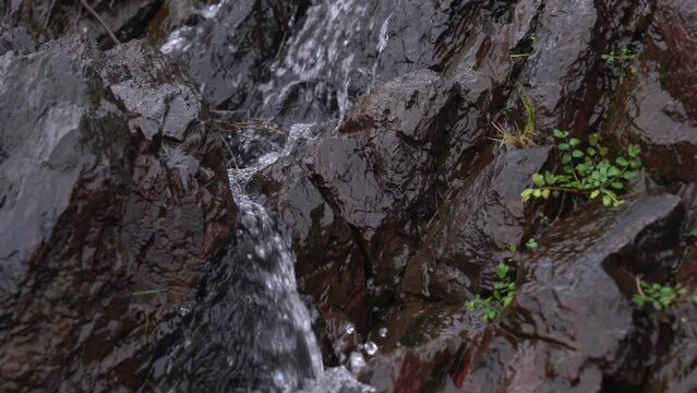 Manantial de agua