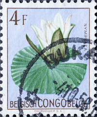 Belgian Congo - circa 1952 : a postage stamp from Belgian Congo, showing blooming flower: Nymphaea...