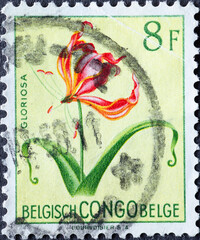 Belgian Congo - circa 1953 : a postage stamp from Belgian Congo, showing blooming flower: Gloriosa...