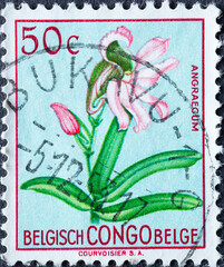 Belgian Congo - circa 1952 : a postage stamp from Belgian Congo, showing flowering flower:...