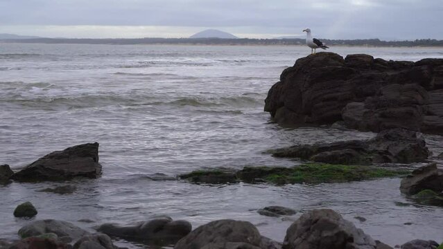 Punta Ballena Uruguay