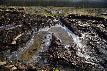 Pfütze auf einem Weg, Radspuren im Wald mit Wasser und zerbrochenem und intaktem Eis