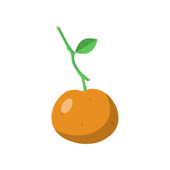 Orange Flat Illustration. Clean Icon Design Element on Isolated White Background