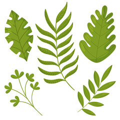Green decorative leaves on white background. Flat style vector illustration, elements collection