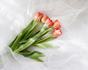 Bouquet of flowers on a white background. Tulips.  Women's Day.
