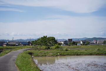 田んぼ道の風景