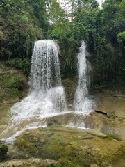 Obraz premium waterfall in the forest