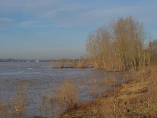 Der Rhein bei Wesel