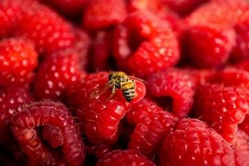 close up of a raspberry
