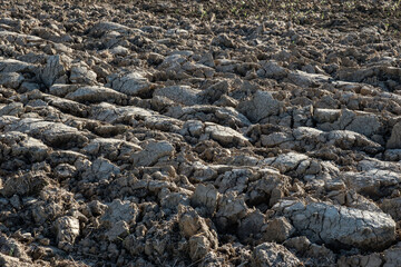 Umgepflügter Acker (Landwirtschaft)