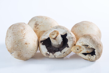 Mehrere Champignons / Pilze auf einem neutralen weißen Hintergrund freigestellt