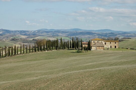 Immagine delle  dolci colline di Siena .Toscana 