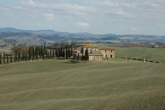 Immagine delle  dolci colline di Siena .Toscana 