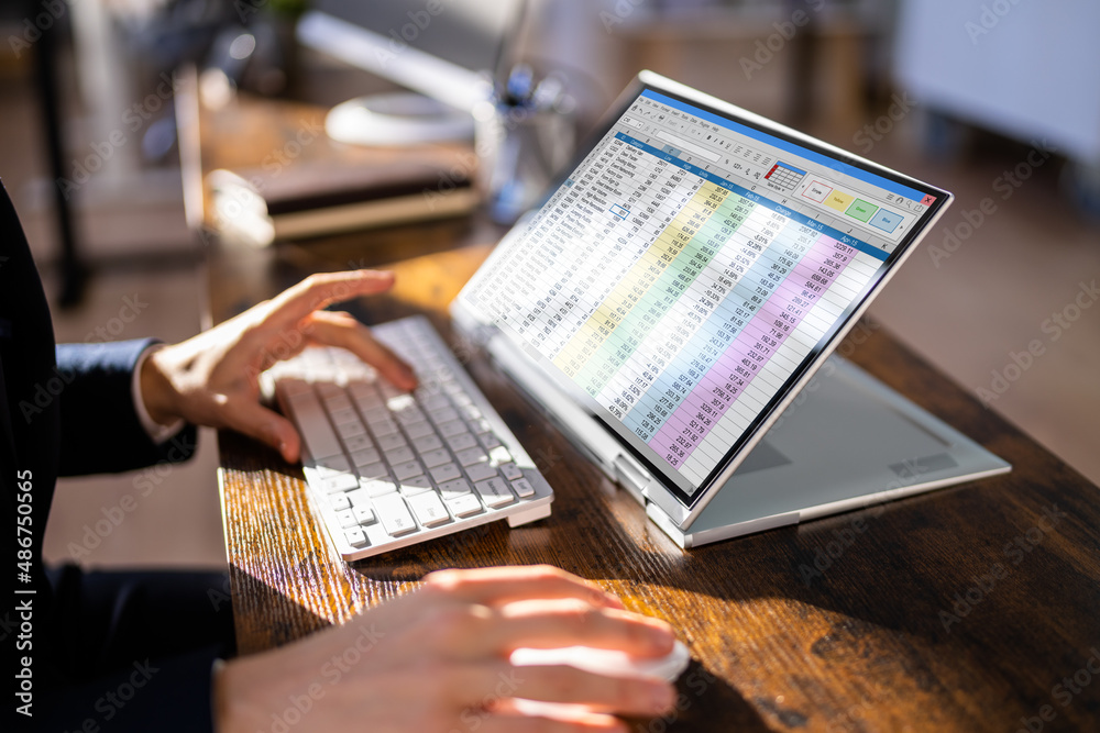Poster electronic spreadsheet analyst or auditor using software