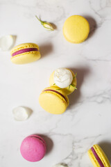 Macaroons and flowers. French food. Yellow and pink macaroons on a marble table. French dessert and white flowers.