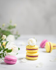 Macaroons and flowers. French food. Yellow and pink macaroons on a marble table. French dessert and white flowers.