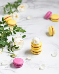 Obraz na płótnie Canvas Macaroons and flowers. French food. Yellow and pink macaroons on a marble table. French dessert and white flowers.
