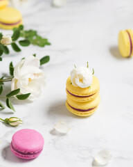 Macaroons and flowers. French food. Yellow and pink macaroons on a marble table. French dessert and white flowers.