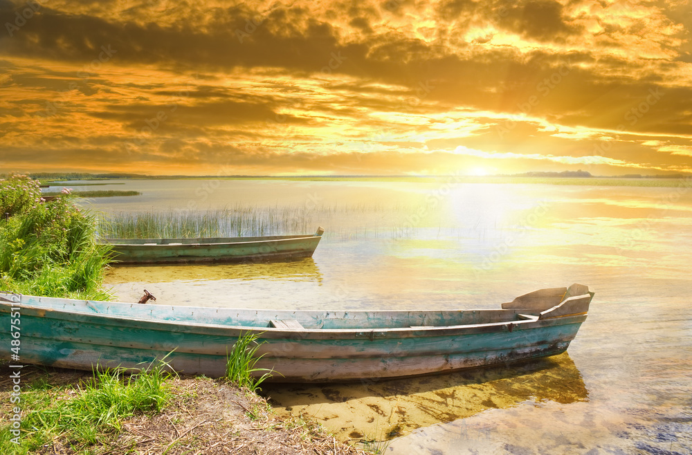 Canvas Prints boat in a high cane