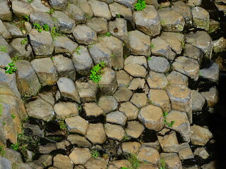 close up of basaltic prisms of santa maría regla, Huasca de Ocampo, Hidalgo, Mexico
