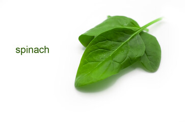spinach leaf isolated on white background