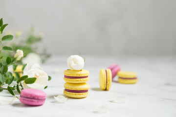 Macaroons and flowers. French food. Yellow and pink macaroons on a marble table. French dessert and white flowers.