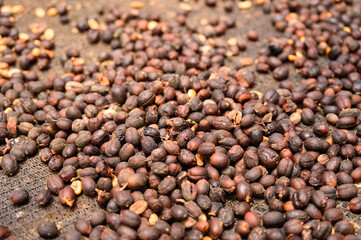 Drying pure coffee fruits pattern seeds closeup